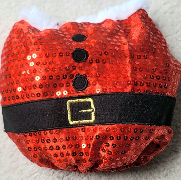 Santa Costume for Small Dogs - Picture 3 of 8